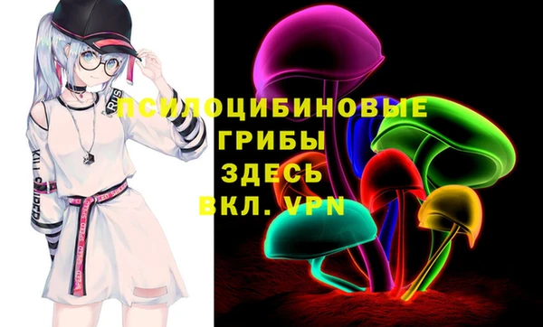 метадон Алексин