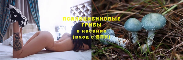 a pvp Аркадак
